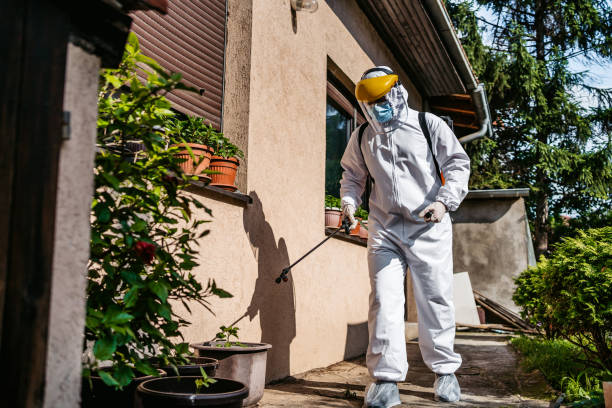 Best Wasp Removal Services  in Bethlehem Village, CT