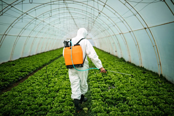 Best Pest Prevention Services  in Bethlehem Village, CT