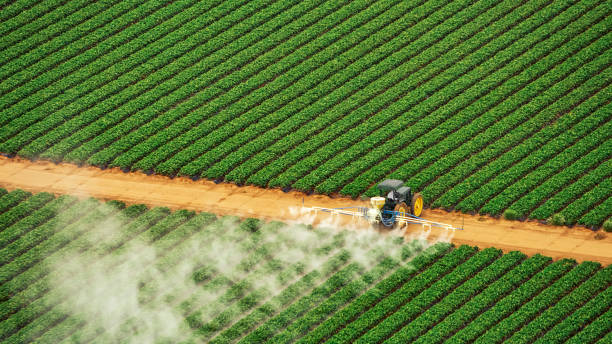 Best Commercial Pest Control Services  in Bethlehem Village, CT