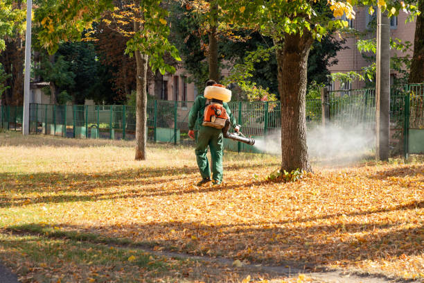 Insect Control in Bethlehem Village, CT